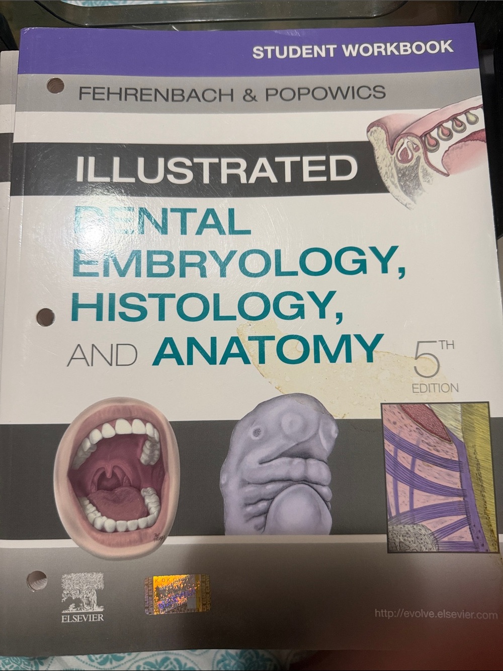 Illustrated Dental Embryology, Histology, and Anatomy - Teal, Purple